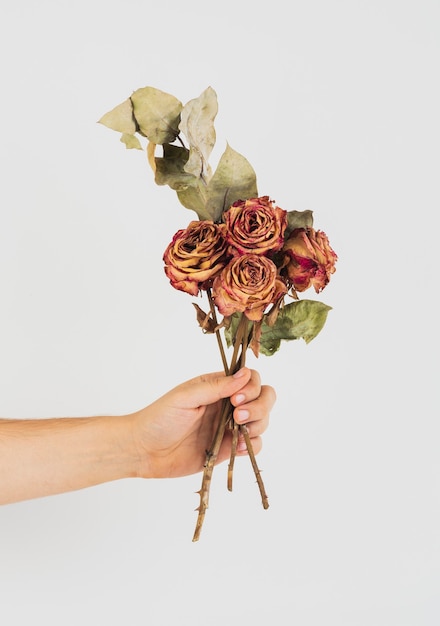 Hand holding a bunch of dried roses