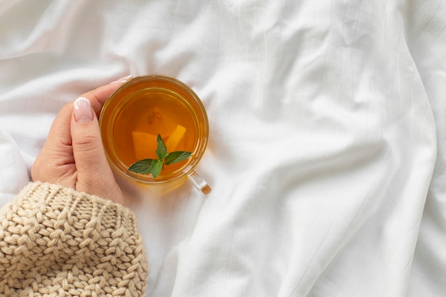 Free Photo hand holding cup of tea with mint