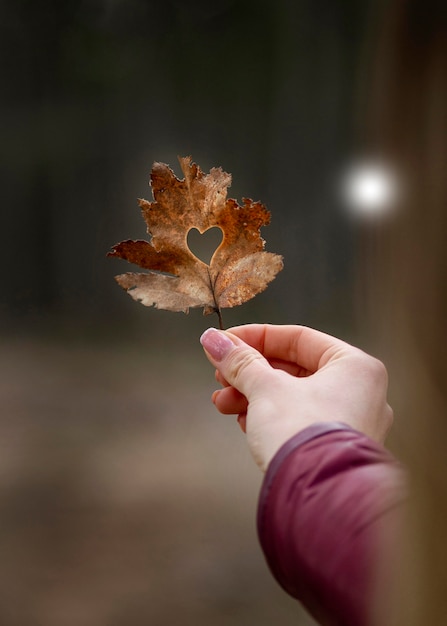 Hand holding cute leaf with heart shape