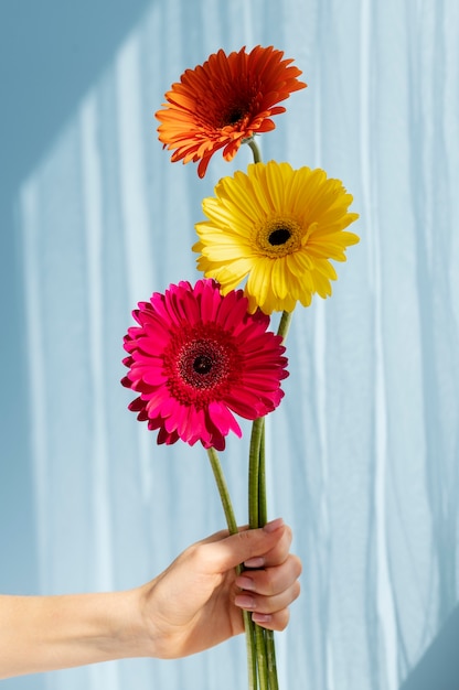 Hand holding elegant flower