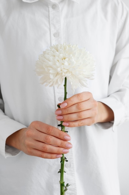 Free photo hand holding elegant flower