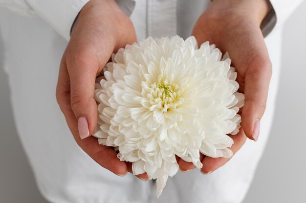 Hand holding elegant flower