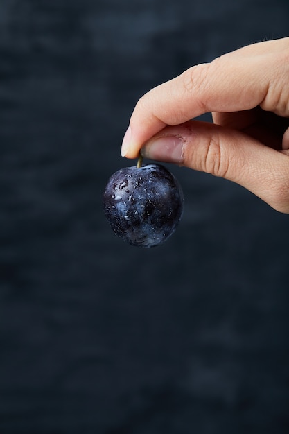 Hand holding a fresh plum on dark.