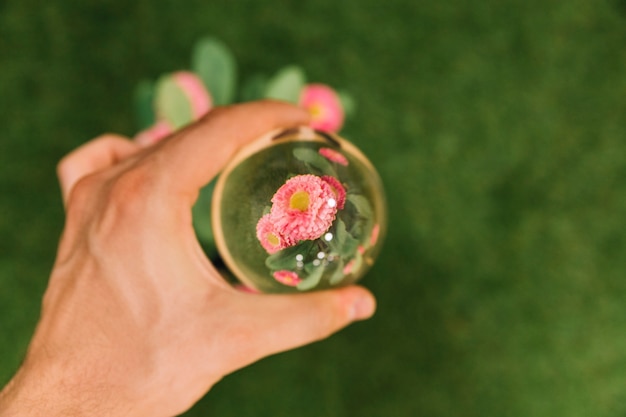 Free photo hand holding glass sphere over the pink flower