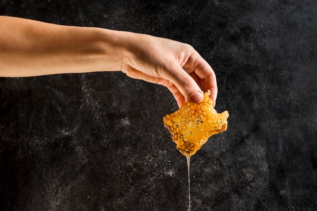 Free photo hand holding honeycomb