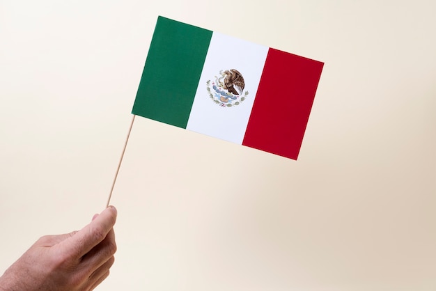 Free photo hand holding little mexican flag