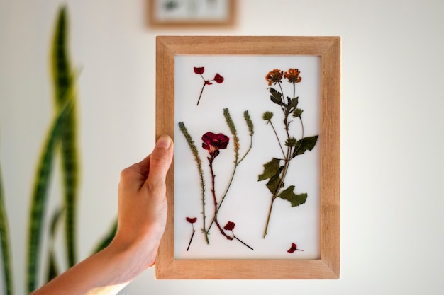 Free Photo hand  holding pressed flower frame