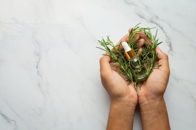 Free Photo hand  holding rosemary fresh plant and bottle of rosemary oil