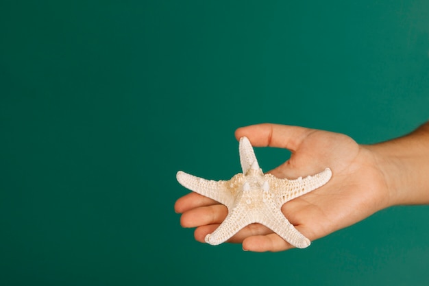 Free photo hand holding starfish