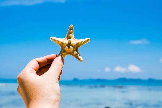 Free photo hand holding starfish