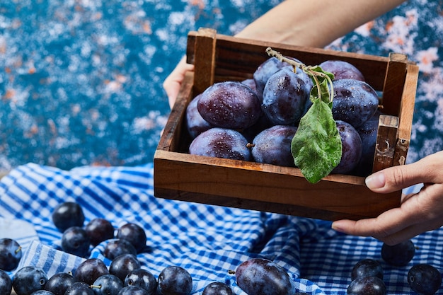 Free photo hand holdong wooden basket of garden plums on blue.