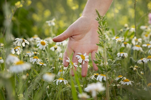 Free Photo hand touching beautiful white flower