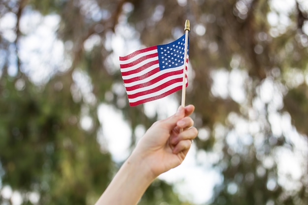 Free photo hand waving an american fly outdoors