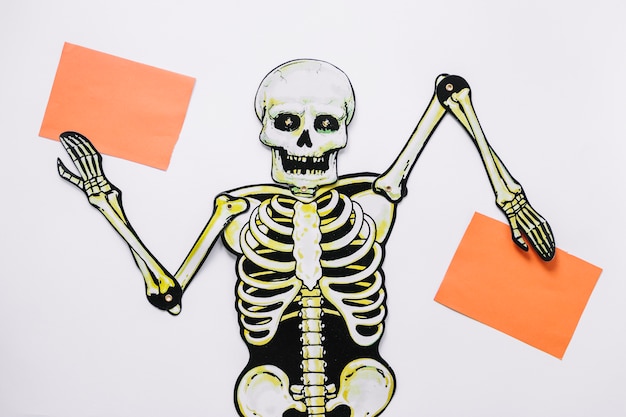 Free photo handmade skeleton with two sheets of paper