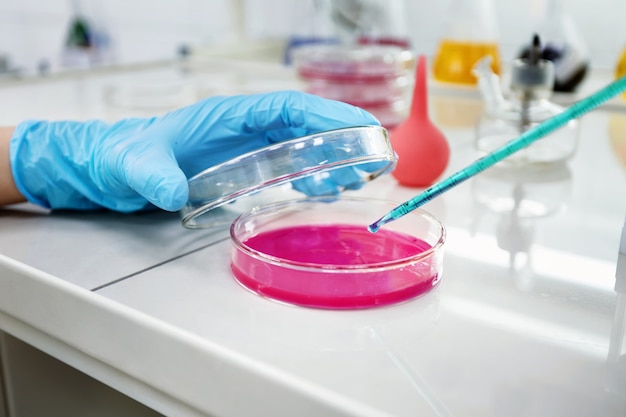 Free photo hands of clinician holding tools during scientific experiment in laboratory