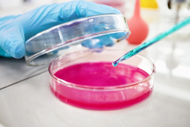 Hands of clinician holding tools during scientific experiment in laboratory