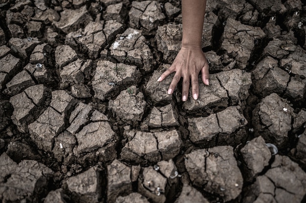 Free photo hands on dry ground, global warming and water crisis