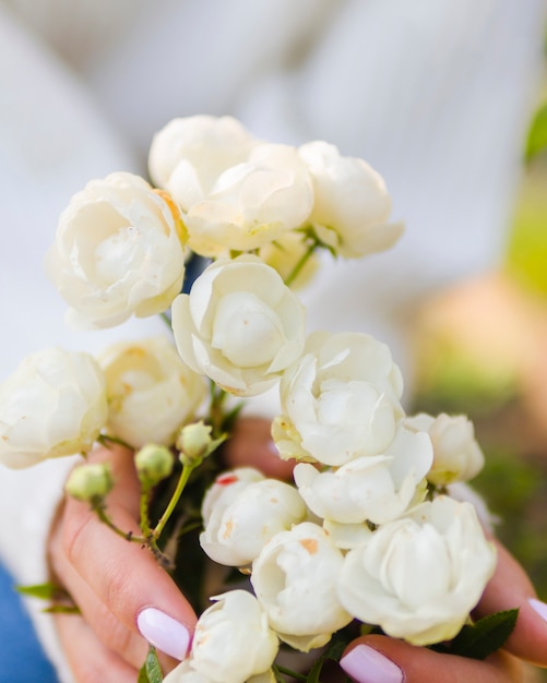 Free photo hands holding blooming white roses