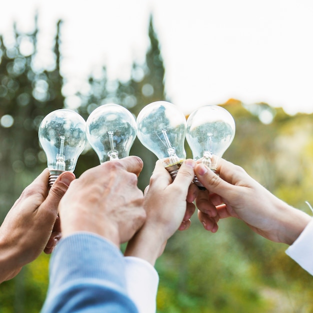 Free photo hands holding bulbs on ecology day