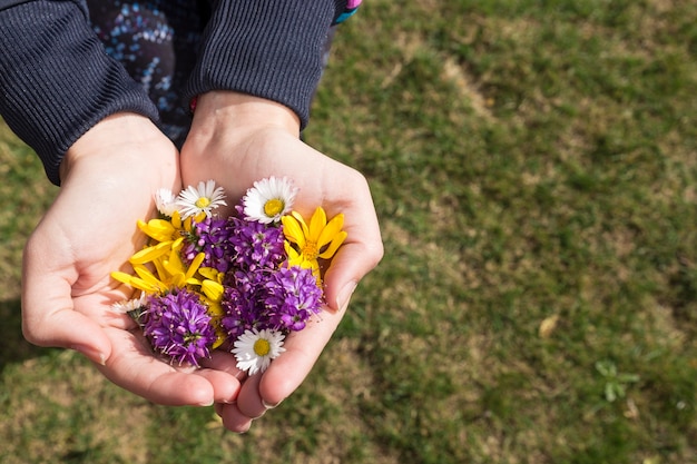 Free Photo hands holding different types of flowers