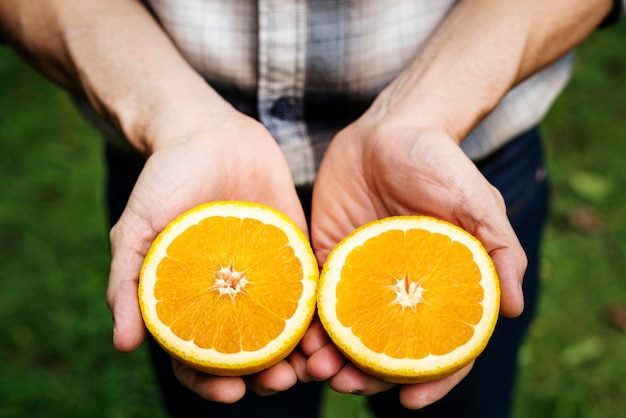 Free photo hands holding orange organic produce from farm