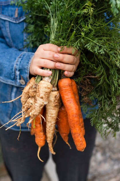 Hands holding organic carrots and parsnip