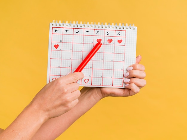 Hands holding a red pen and period calendar front view