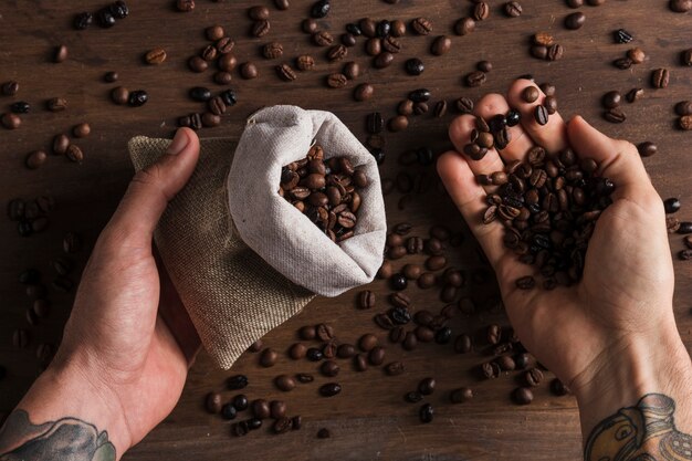 Hands holding sack and coffee beans