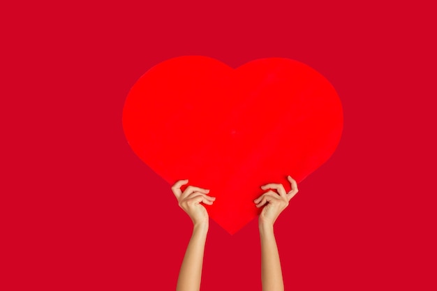 Free photo hands holding the sign of heart on red  background.