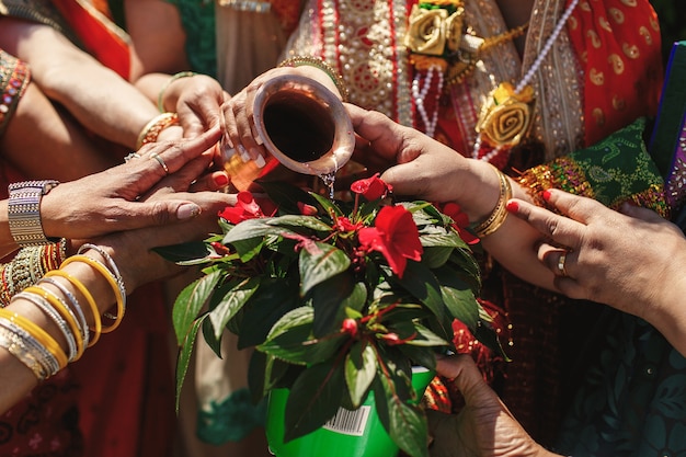 Free photo hands of indian women pour holy woter in a red flower