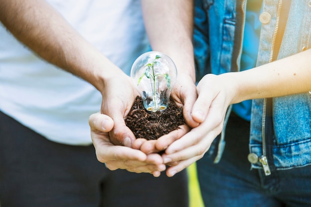 Free photo hands keeping plant in lamp on ground