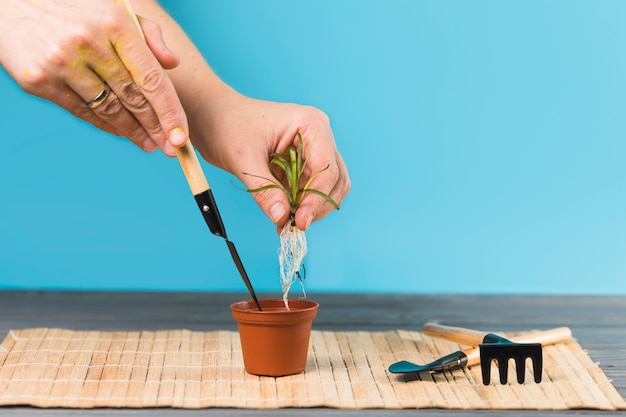 Free Photo hands planting