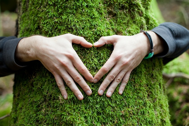 Hands in shape of heart on a tree