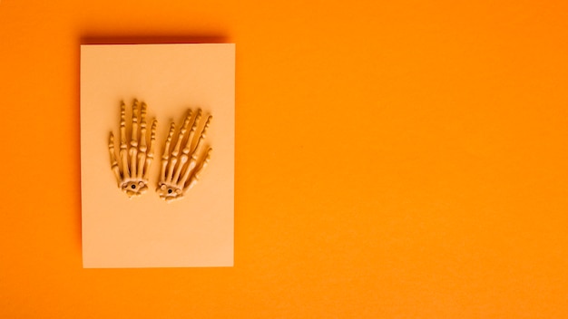 Hands of skeleton on piece of paper