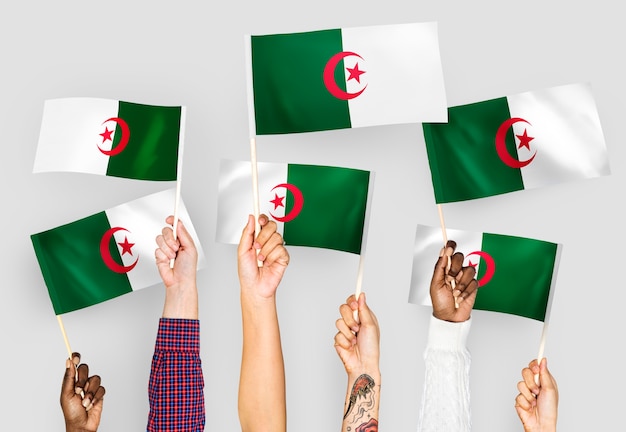 Free Photo hands waving flags of algeria