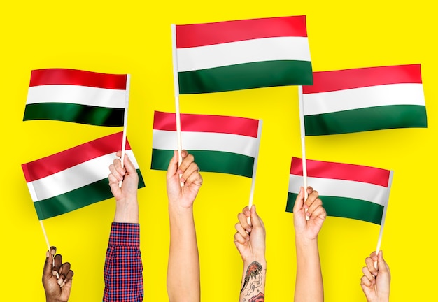 Free photo hands waving flags of hungary