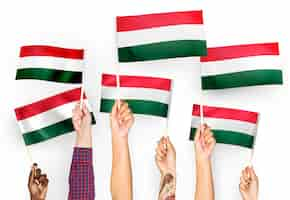 Free photo hands waving flags of hungary