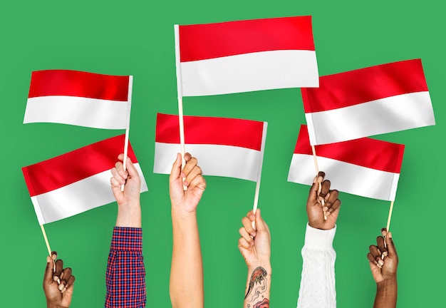 Free photo hands waving flags of indonesia