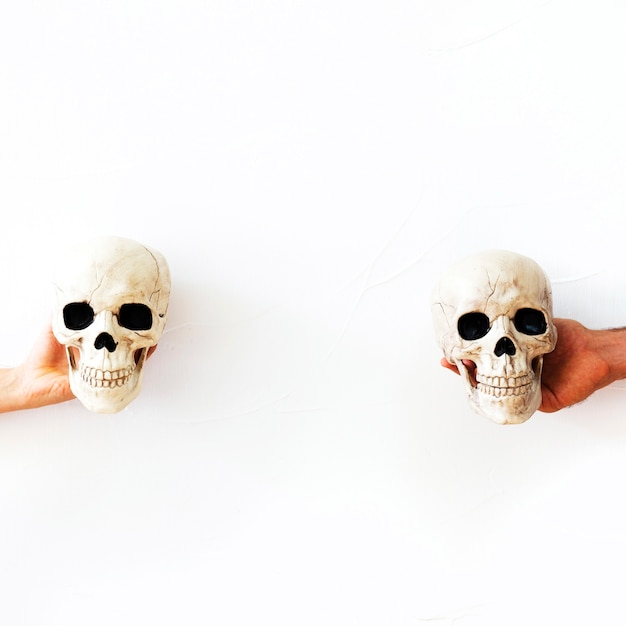 Free photo hands with fake skulls