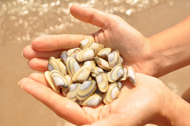 Hands with seafoods