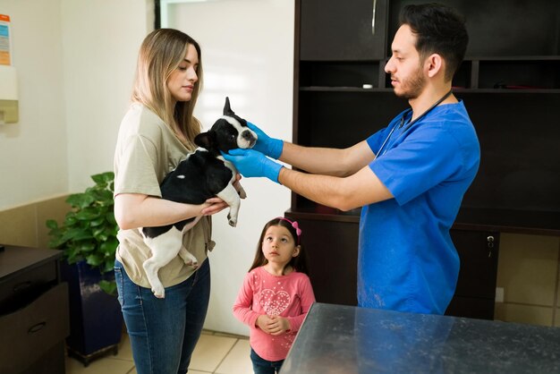 Handsome hispanic veterinarian petting the head of a beautiful boston terrier dog in the arms of a caucasian woman and her daughter at the animal clinic