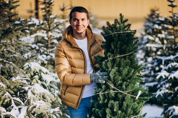 Handsome man choosing a christmas tree in a greenhouse