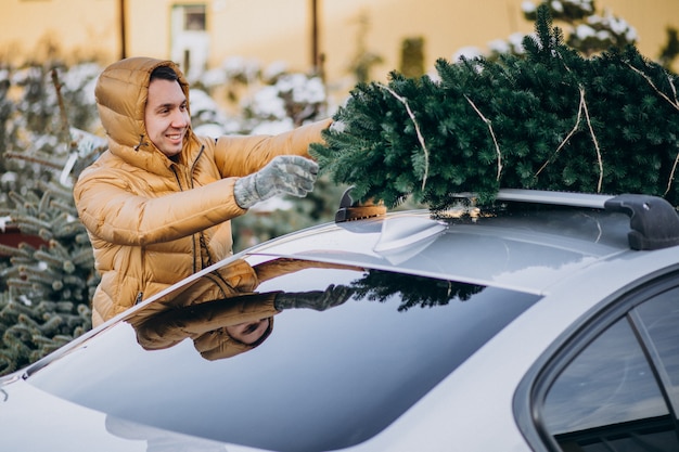 Handsome man securing Christmas tree to the car