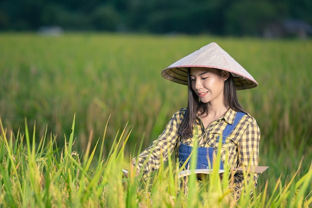 Happy asian female Write notes in rice fields