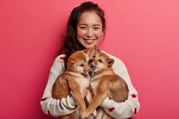 Happy Asian woman holds two adorable Shiba Inu puppies, smiles pleasantly, wears white jumper, cares about domestic animals