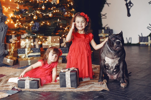 Free Photo happy child and dog with christmas gift. child in a red dress. baby having fun with dog at home. xmas holiday concept