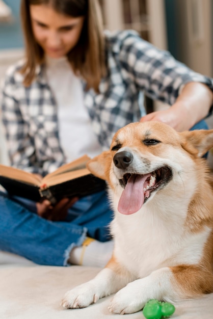 Free photo happy dog and woman reading book on couch