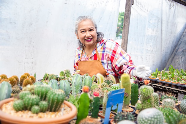 Happy eldery female with beautiful cactus