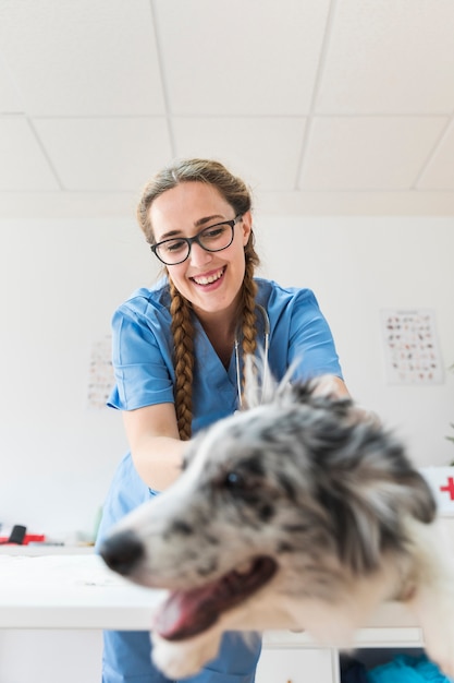 Free photo happy female veterinarian examining dog in the clinic