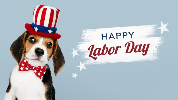 Free Photo happy labor day from cute beagle in uncle sam hat